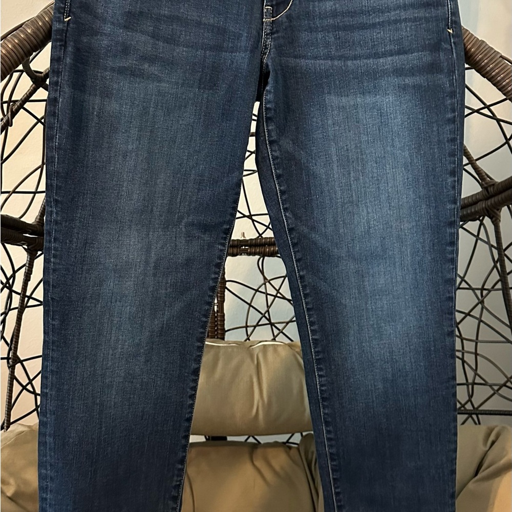 American Eagle Outfitters Dark Blue Skinny Jeans
